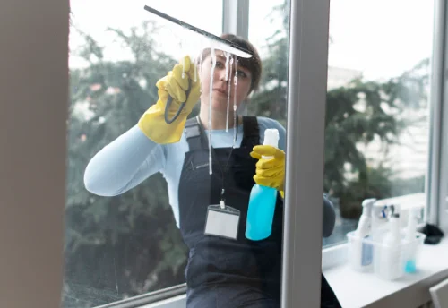 Nettoyage de vitres intérieures et extérieures à Condeissiat